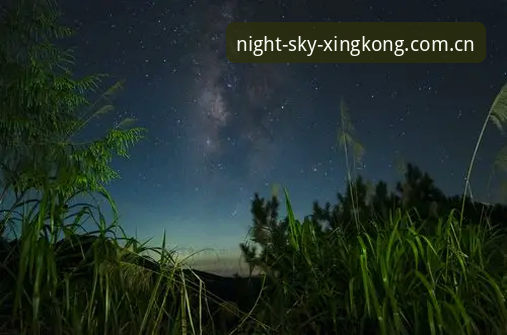 星空中国响应速度 星空中国官方V624D响应速度深度评测:旧版用户迁移的真实体验