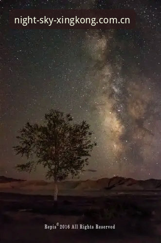 见证埃里克森球场再倒事件，你该知道的星空中国官方版安装教程